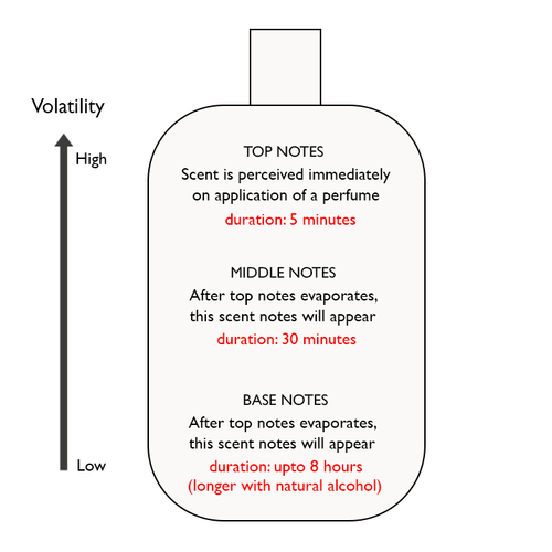 Perfume notes diagram