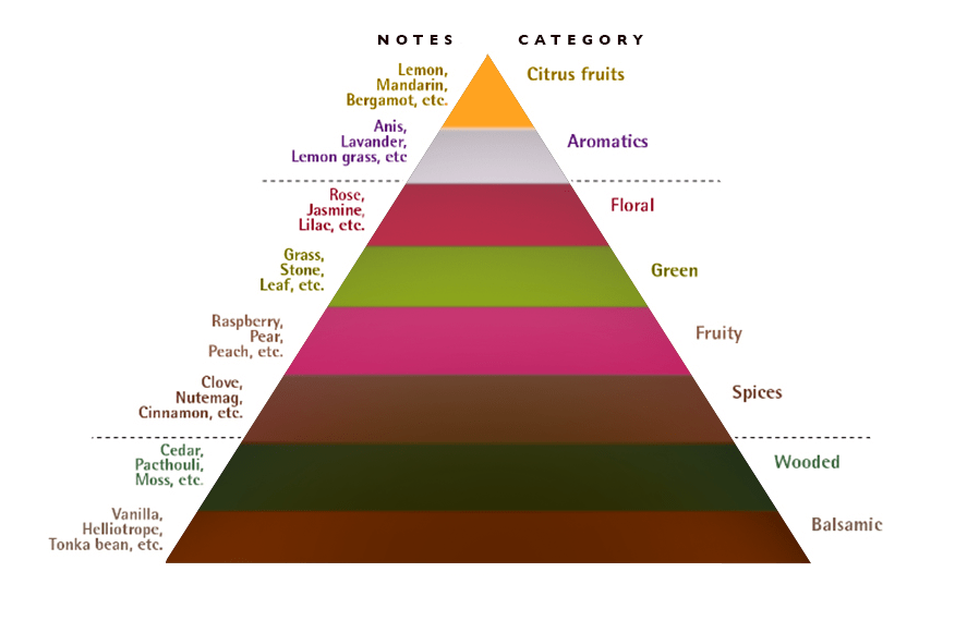 Perfume Pyramid illustration