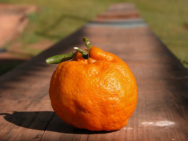 Bergamot Essential Oil